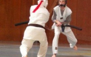 Ticket sports Sport Chanbara et Judo