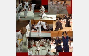 Fête du judo 