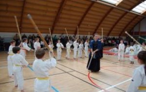 Fete du Judo et disciplines associés 9 JUIN 2012