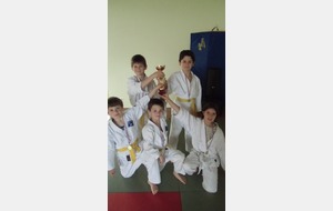 Résultat du Tournoi Prépoussins/Poussins à Saint Pierre/Dives