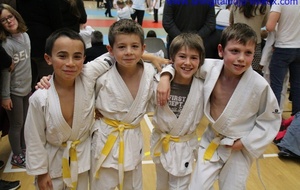 Animation de Pont L'Evêque 5 Décembre 2015