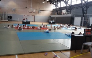 Animation de Pont l'Evêque du 3 avril 2016