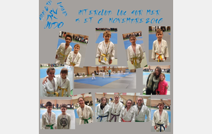 Résultats de l'interclub de Luc sur Mer 2016