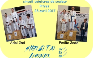 résultat circuit ceintures de couleur