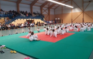 bilan de l'animation de Dozulé 