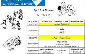 stage de printemps Shin Gi Tai Dojo