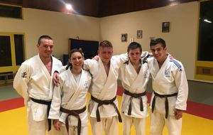 Bilan des passages de grade ceinture noire