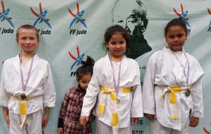 Bilan de l'animation de St Pierre Sur Dives