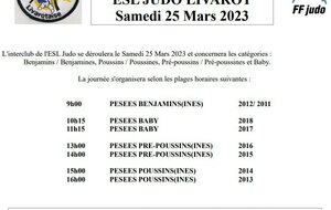 Animation de Livarot (éveil judo, pré-poussin, poussin et benjamins)