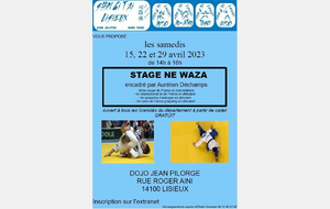Stage ne waza 29 AVRIL