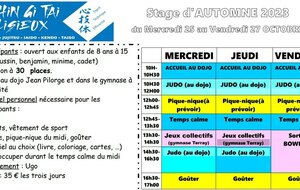 Stage d'AUTOMNE (poussins / benjamins / minimes)