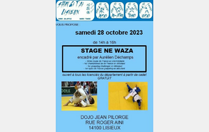 1er stage club Ne Waza