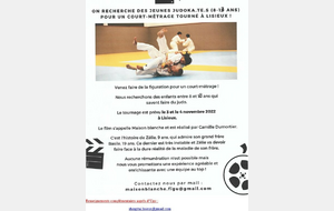 Projection Maison Blanche