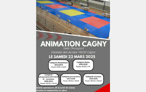 Animation de Cagny (éveil judo, pré-poussin, poussin et benjamins)