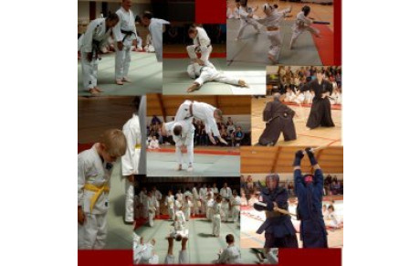 Fête du judo 