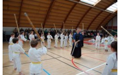 Fete du Judo et disciplines associés 9 JUIN 2012