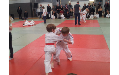 Résultats des Tournois de Bernay et Pont l'Evêque