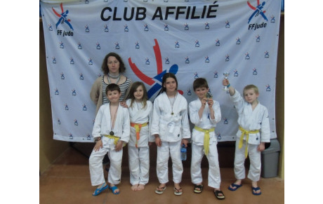 Résultats du Tournoi Prépoussins/Poussins à Dozulé