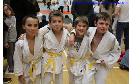 Animation de Pont L'Evêque 5 Décembre 2015