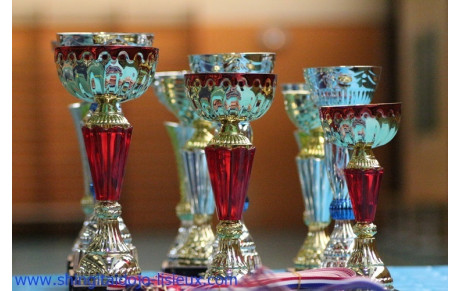 Interclub de Lisieux, 6 février 2016