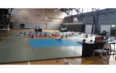 Animation de Pont l'Evêque du 3 avril 2016