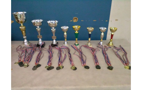 résultats de l'animation de Livarot