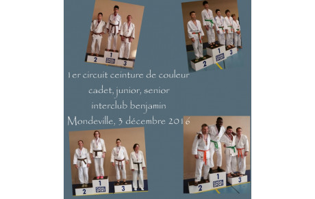 résultat 1er circuit ceinture de couleur et interclub benjamin de Mondeville, 3dec2016