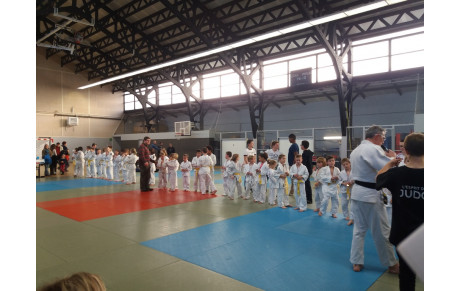 résultats de l'animation de Pont l'Evêque