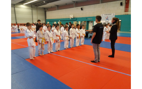 résultats de l'animation de Saint André sur Orne / Saint Martin de Fontenay