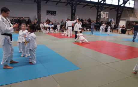 bilan de l'animation EVA du 2 décembre 2017