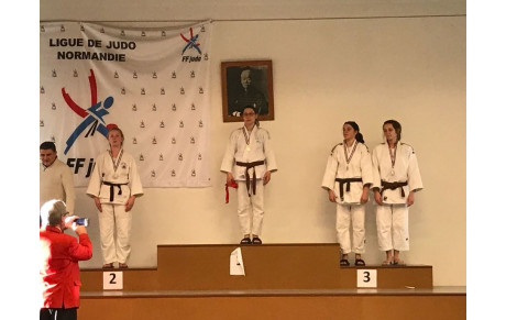 résultat 1er circuit régional ceintures de couleur,14 janvier 2018