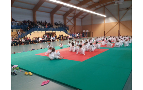 bilan de l'animation de Dozulé 