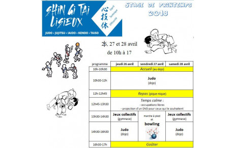 stage de printemps Shin Gi Tai Dojo